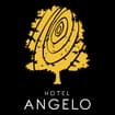 Logo Hotel Angelo Srl