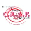 Logo C.a.a.p. Centro Artistico Acconciatori Pavesi