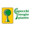 Logo Capecchi Giorgio Piante S.s.a. Società Agricola Semplice Di Capecchi Giorgio, Capecchi Tommaso E Stradoni Danica