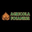 Logo Agricola Foianese Di Pizzillo Orazio & C. S.n.c.