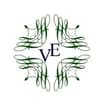Logo Villa Elisa Srl