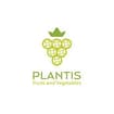 Logo Plantis Group Srl