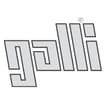 Logo "Galli Spa"