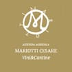 Logo Mariotti Cesare