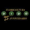 Logo Dido' Gianfranco & C. S.n.c.