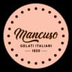 Logo Mancuso Vincenzo & C. Srl