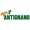 Logo Antignano Antonio