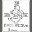 Logo Bussola In Di Galantini Nicola & C. Srl