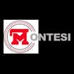 Logo Montesi Group Srl