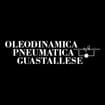 Logo Oleodinamica Pneumatica Guastallese Srl