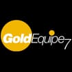 Logo Gold Equipe 7 Srl