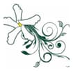 Logo Società Agricola Del Gelsomino Erino E C. S.n.c.