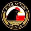 Logo Birra Pool As Tree Srl