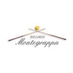 Logo Biliardi Montegrappa S.a.s. Di Donadini Vittorio & C.