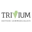 Logo Trivium Srl S.t.p.