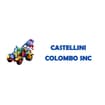 Logo Officina Elettrauto Castellini Colombo S.n.c. Di Castellini Giova Nni E Pierluigi