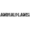 Logo Animal Planet Di Vecchio Carmela