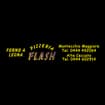 Logo Pizza Flash Di Gajdos Tomas & C. S.a.s.