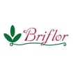 Logo Briflor S.n.c. Di Briganti Marcello, Dario E Sergio
