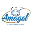 Logo Amagel Srl Semplificata