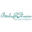 Logo Pittaluga E Zunino Di Giovanelli Giorgia