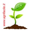 Logo Magagnini Enrico