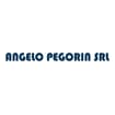 Logo Angelo Pegorin Srl