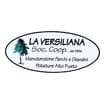 Logo La Versiliana - Società Cooperativa Agricola