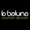 Logo Zoppi Guido