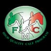 Logo Selmi Renzo & Massimo Srl