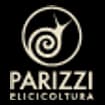 Logo Parizzi Fabrizio