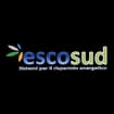 Logo Esco Sud Srl