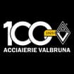 Logo Acciaierie Valbruna Spa