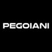 Logo Pegoiani Giuseppe & C. S.n.c.