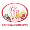 Logo Cancelli Giuseppe & Figli Snc Di Cancelli Massimo E Silvano