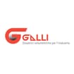 Logo "Galli S.n.c. Di Galli E Piotto"