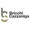 Logo Studio Medico Polispecialistico Bricchi E Cazzaniga Srl Stp