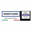 Logo Biondi Ricambi Srl