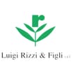 Logo Rizzi Luigi E Figli Srl