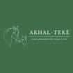 Logo Akhal Teke' Srl