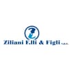 Logo Ziliani F.lli E Figli Spa