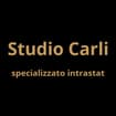 Logo Studio Carli Di Carli Giulio