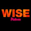 Logo Wise Srl