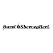 Logo Bursi I. E Sberveglieri P. Srl