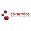 Logo Lab Service Srl