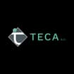 Logo Teca Srl