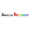 Logo Monte Mucrone Srl