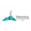 Logo Vesuvius Consorzio Di Imprese Sanitarie Società Consortile Aresp Onsabilita' Lim