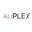 Logo Italpars Group Srl