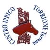 Logo Società Sportiva Dilettantistica Centro Ippico Il Torrione Srl